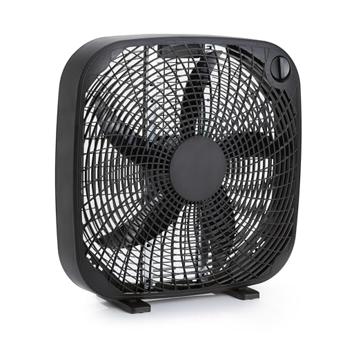 Best Box Fan