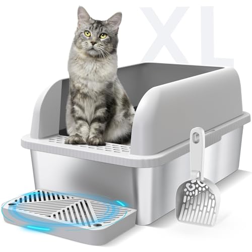 Best Cat Litter Boxes