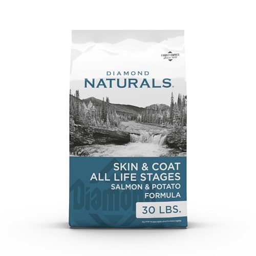 Best Dog Food for Skin Allergies