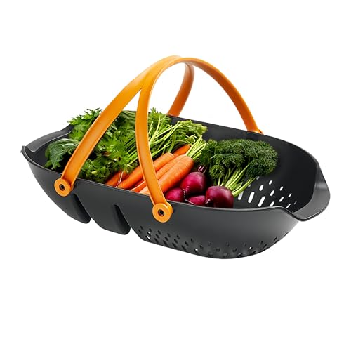 Best Gifts for the Garden: Unique Tools, Decor, and Harvest Essentials