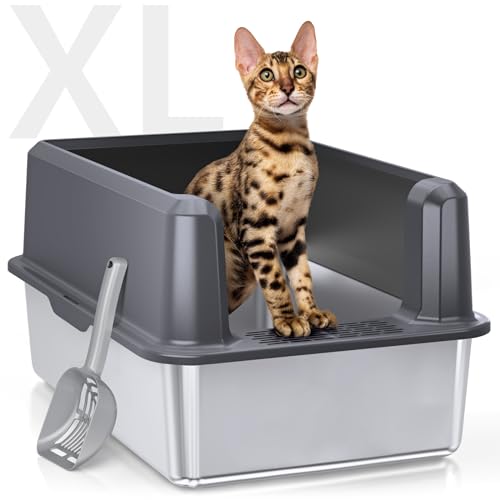 Best Litter Box for Odor Control: XL Stainless Steel Cat Solution