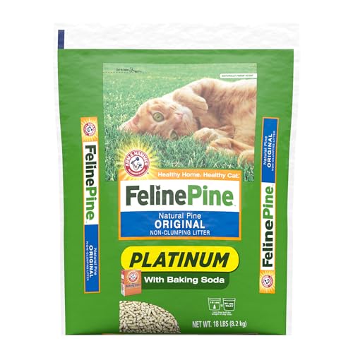 Best Wood Pellet Cat Litter Box