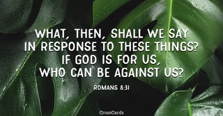 What Does the Bible Say About Manifestation Kjv: Insights