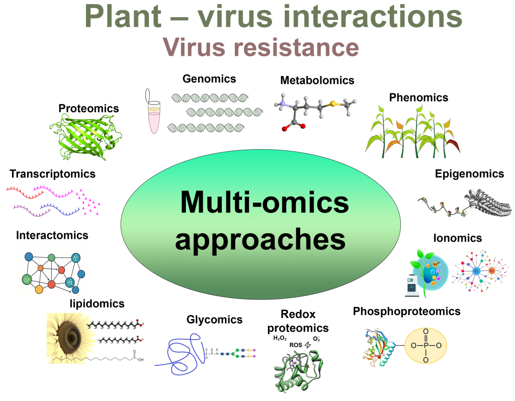 What is the Manifestation of a Genome