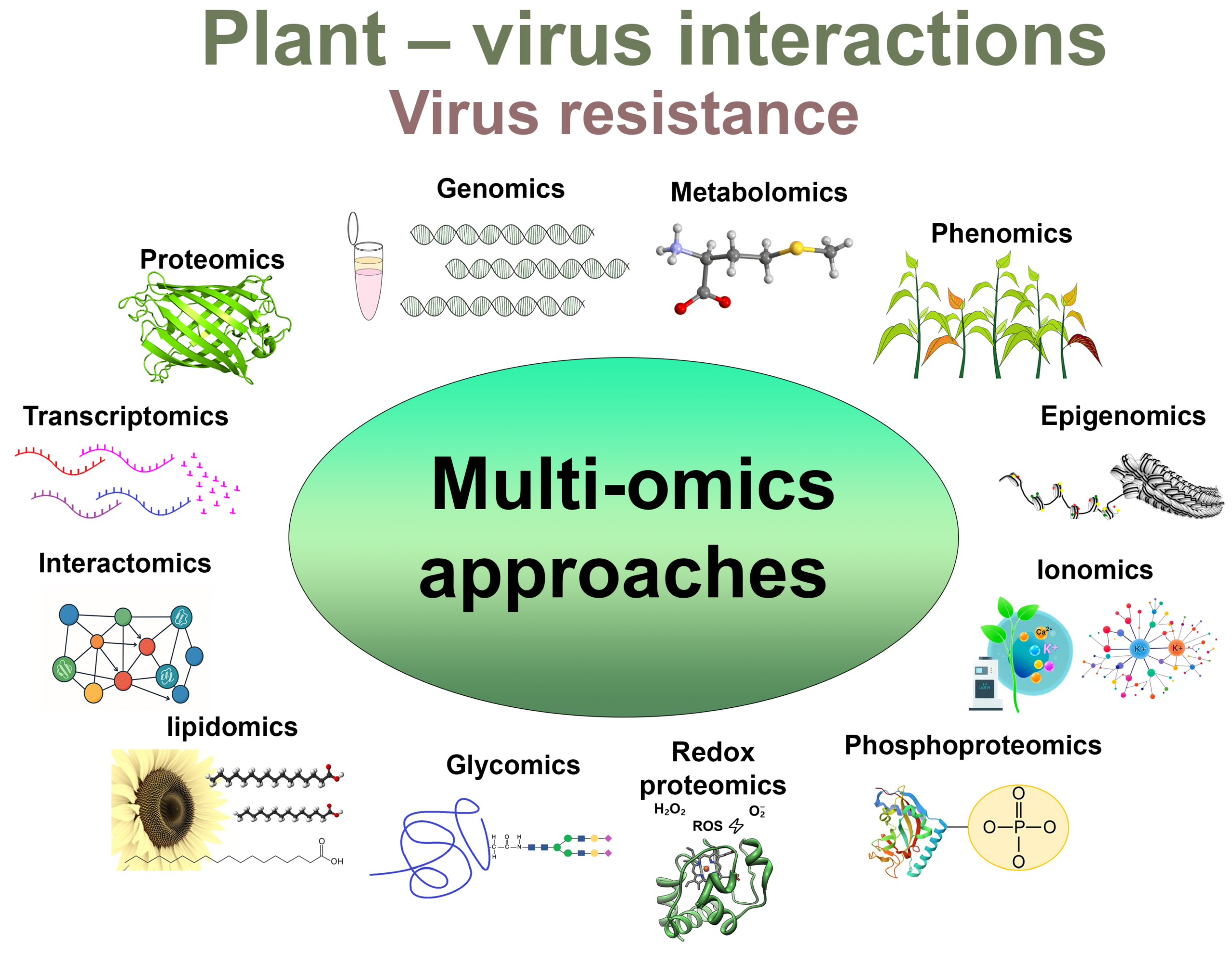What is the Manifestation of a Genome: Unveiling Secrets