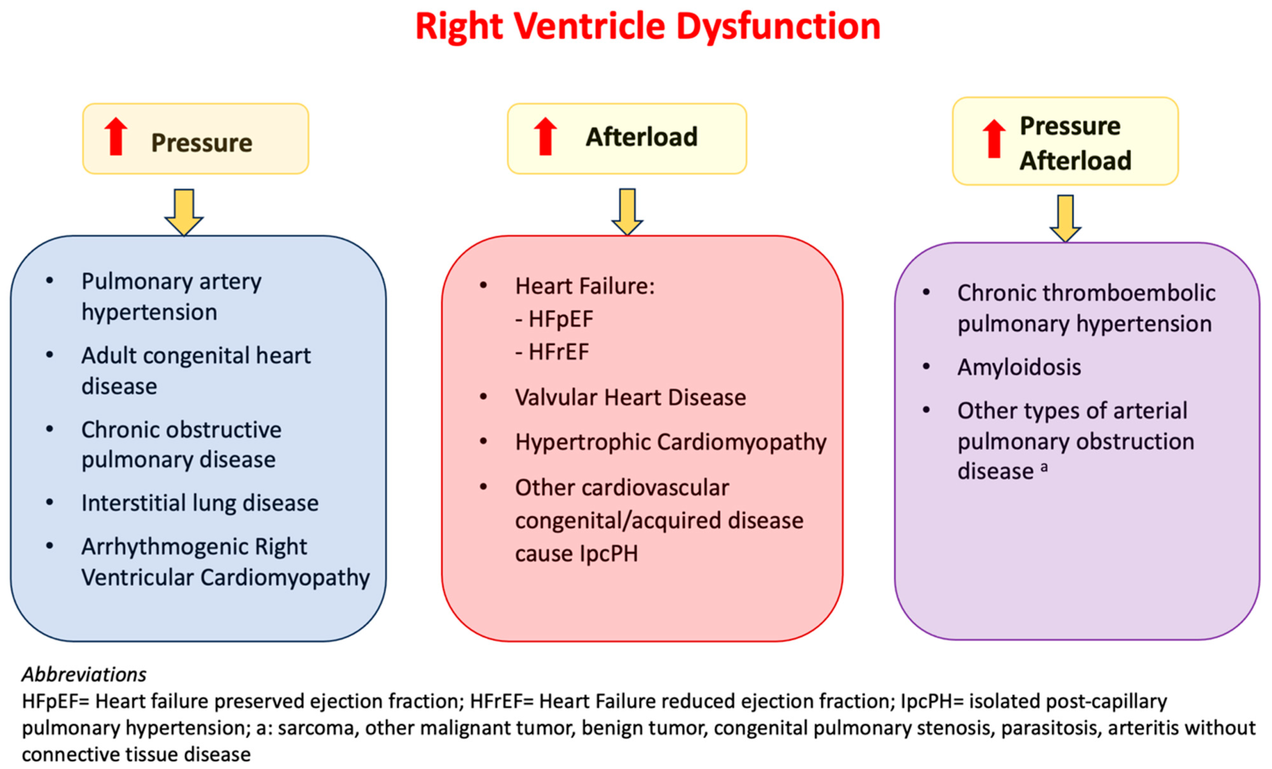 Which is a Manifestation of Right-Sided Heart Failure: Key Signs