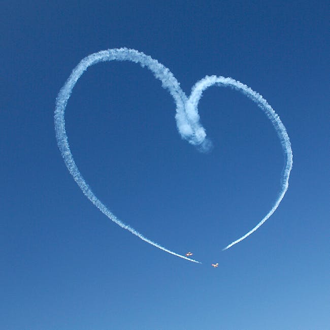 Are Flight Manifests Public: Unveiling the Truth