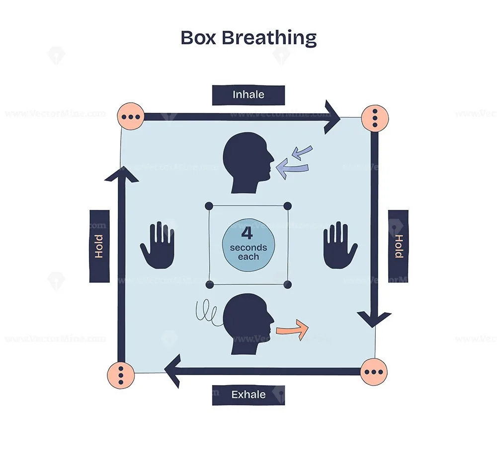 Box Breathing visualization diagram