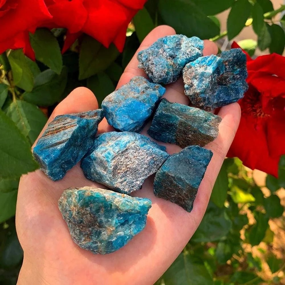can apatite and carnelian be paired for weight loss goals