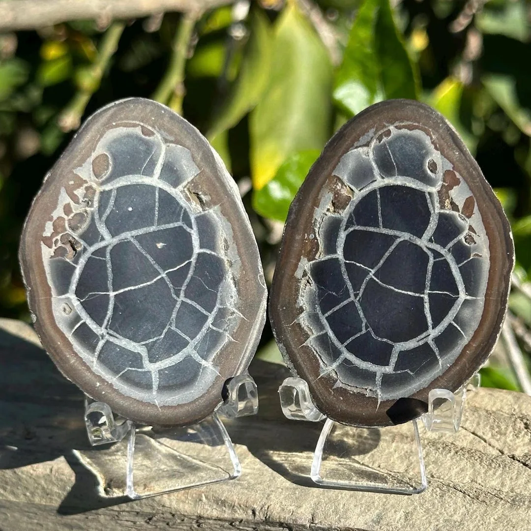 Can Septarian & Mookaite Ground Your Speech?