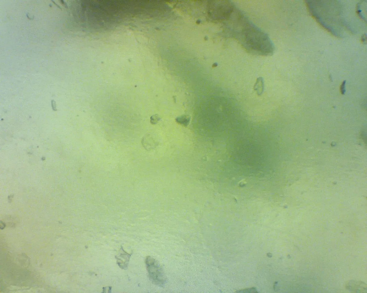 fibrous aggregate structure