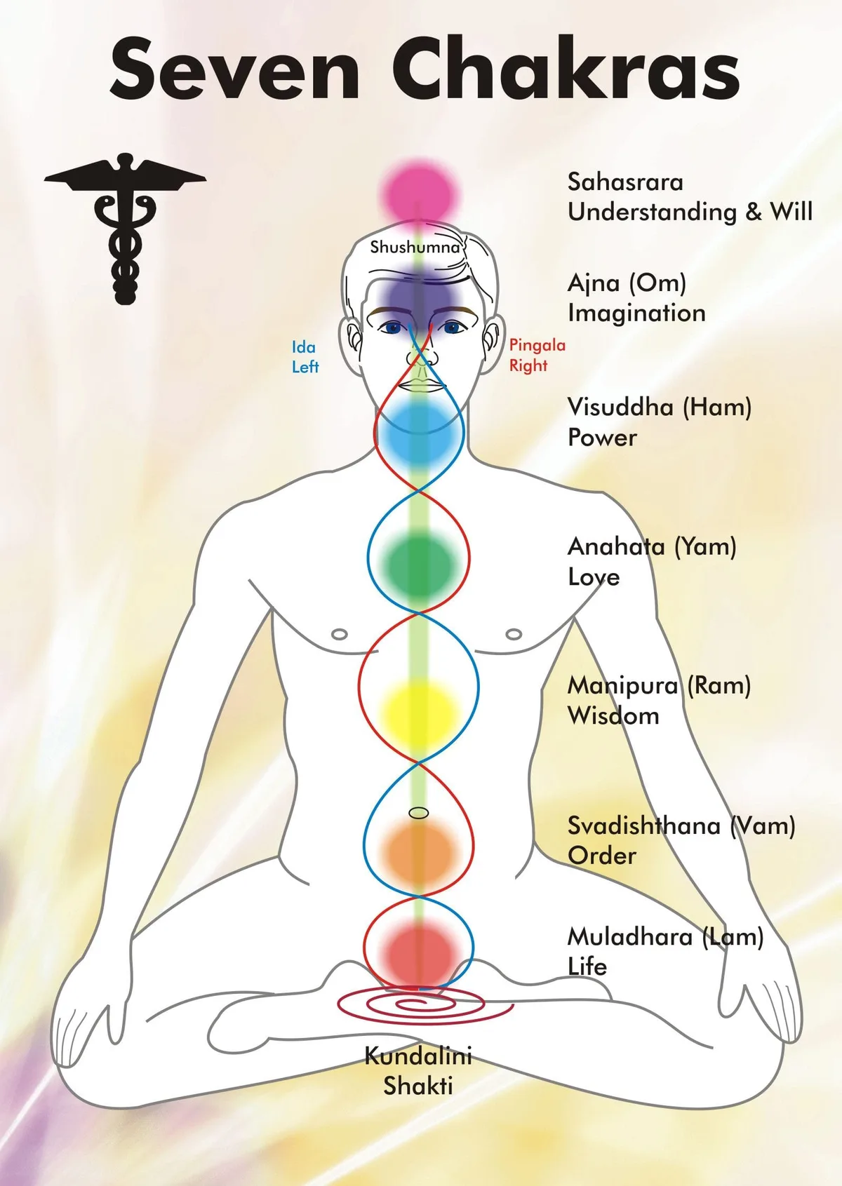 heart chakra seven major chakras