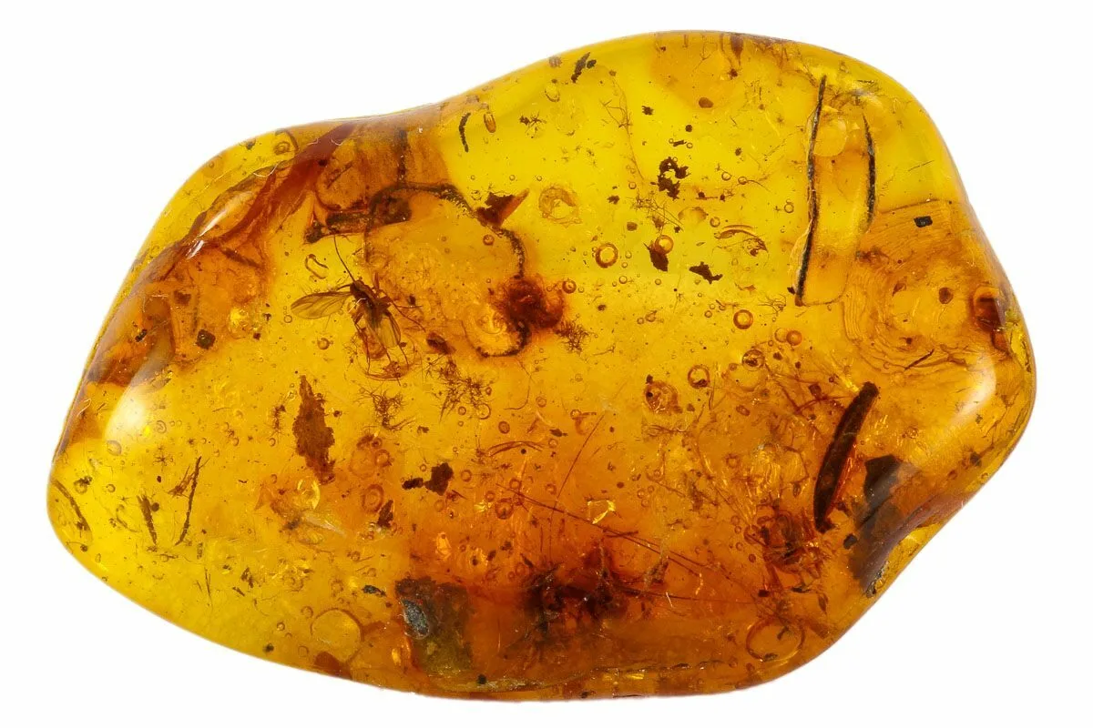 Fake Amber Test: Does Pine Smell Mean It’s Real?