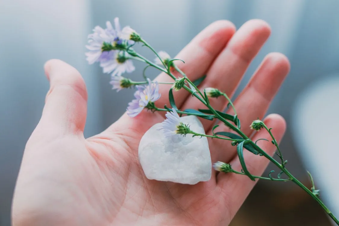 intention setting meditation anchors