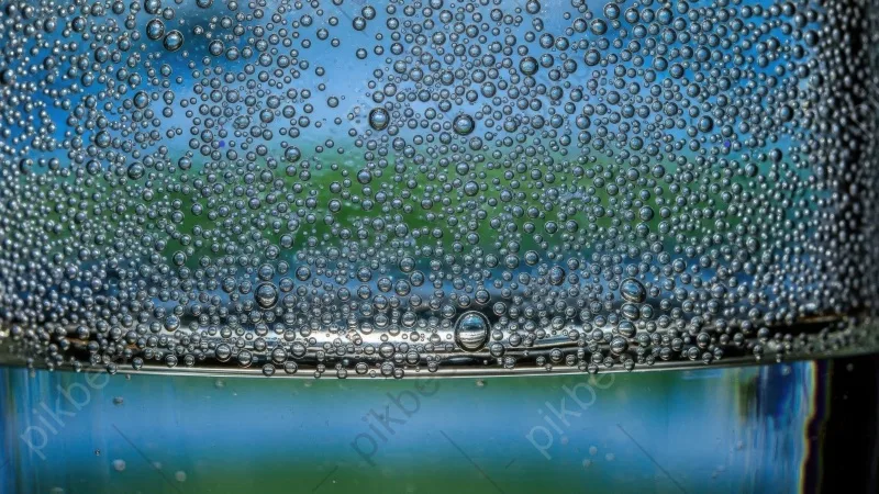 Internal Inclusions (fluids, minerals)