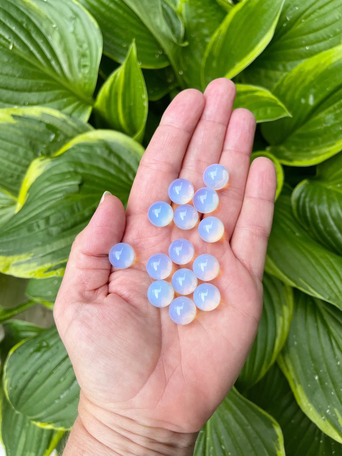 Opalite Glass