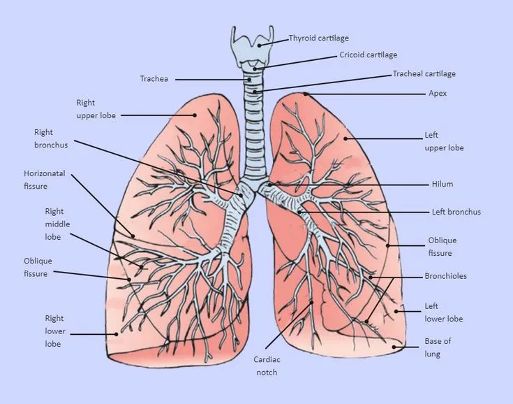 Particulate Matter (PM2.5 and PM10)