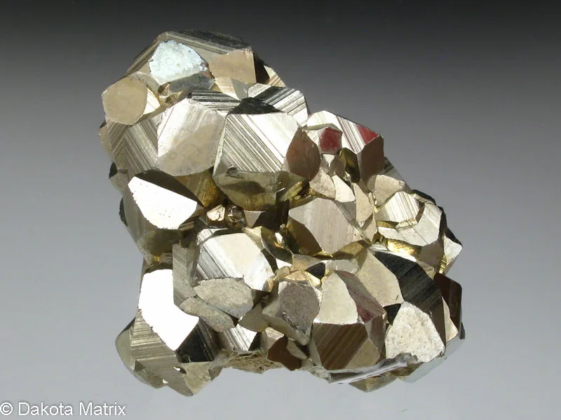 Pyrite toxicity