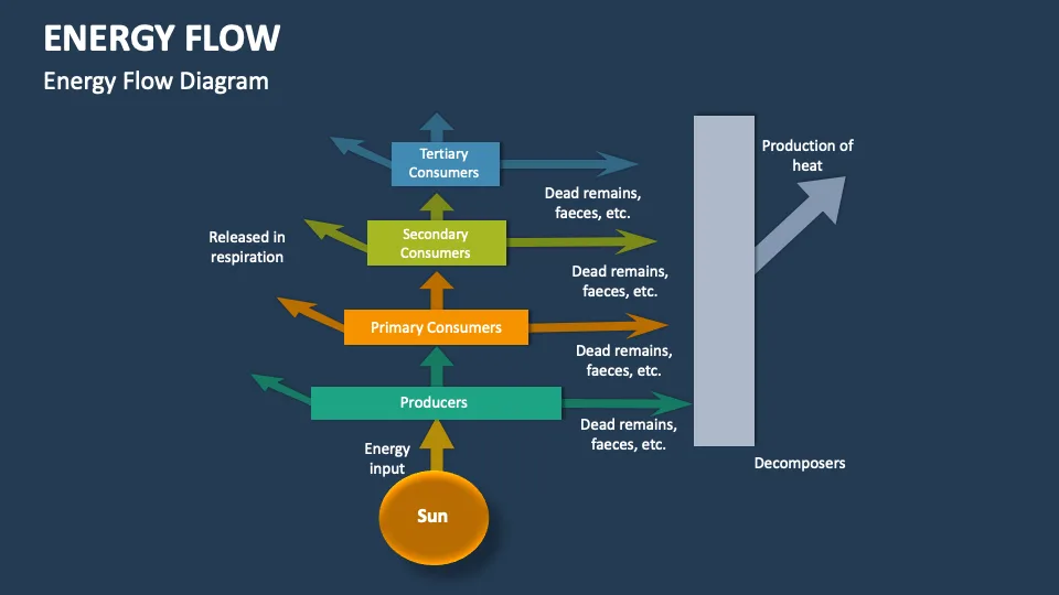 right hand energy projection diagram