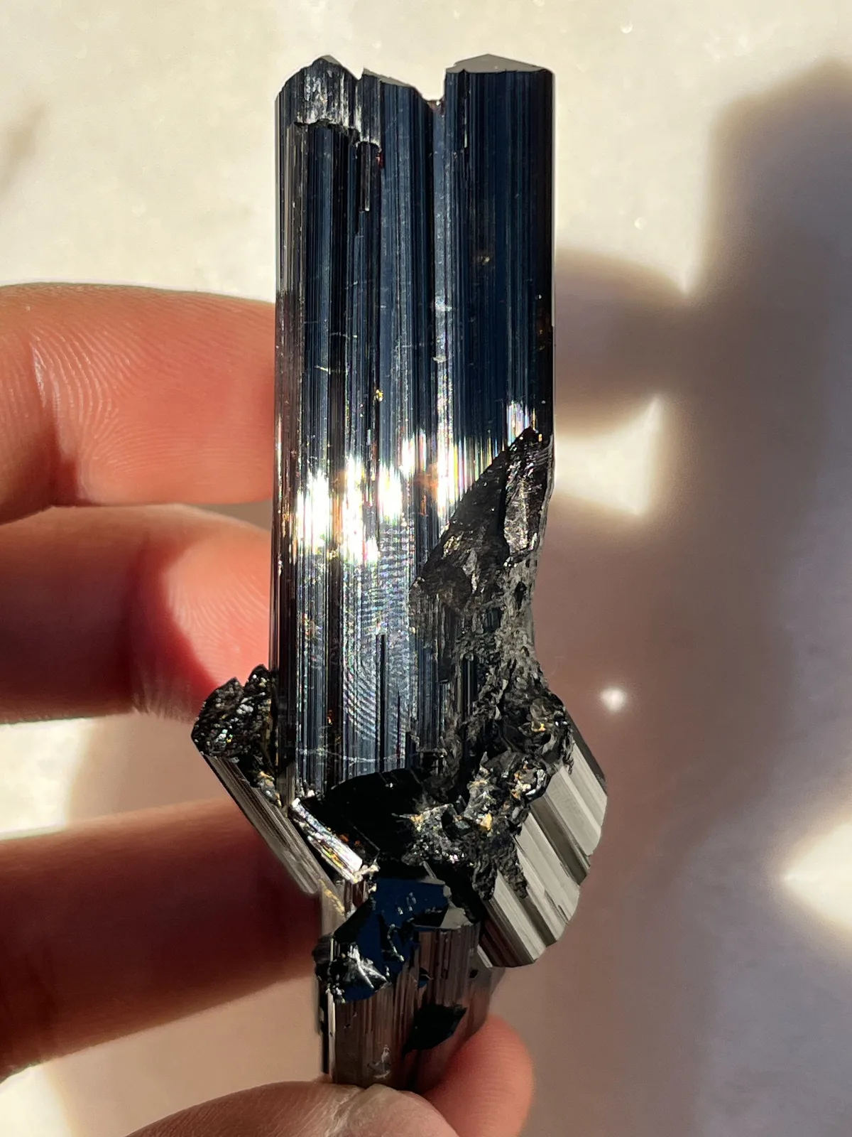 Shungite vs. Coal