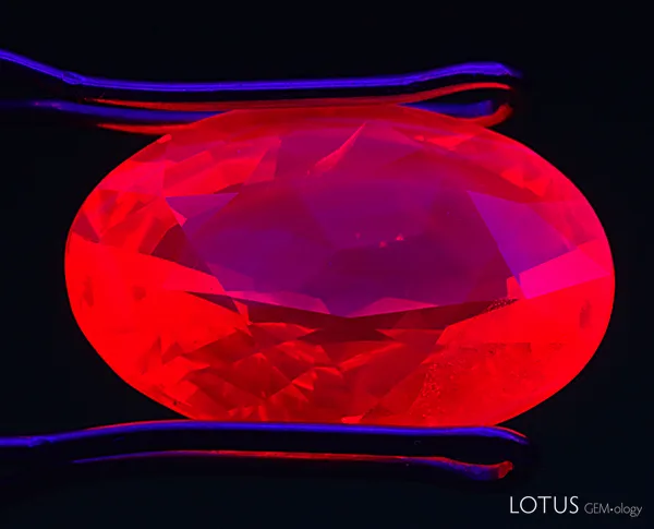 UV fluorescence testing