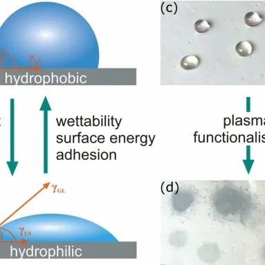 water absorption rate