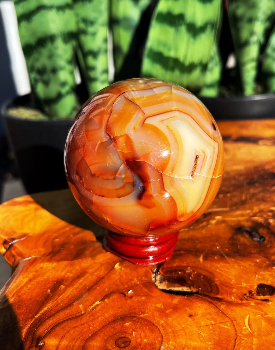 where to place carnelian in kitchen for culinary passion and appetite